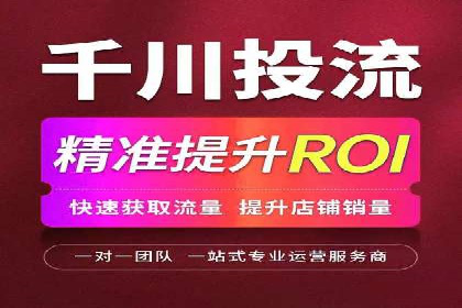 百度SEO推广：从零到一的成长案例